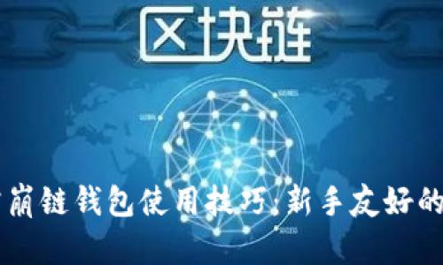 掌握TP雪崩链钱包使用技巧：新手友好的完整指南