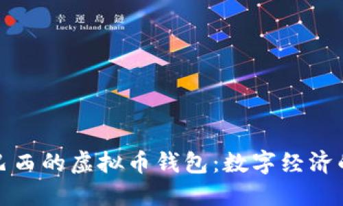探索巴西的虚拟币钱包：数字经济的新宠