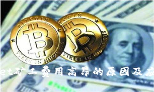 TPWallet矿工费用高昂的原因及应对策略