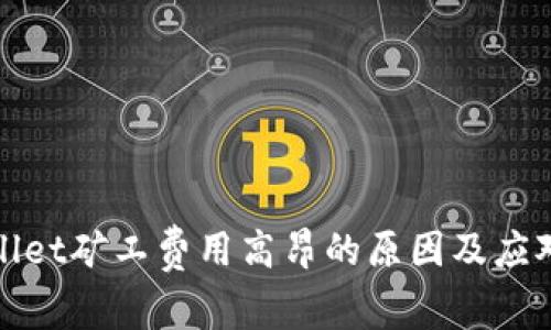 TPWallet矿工费用高昂的原因及应对策略