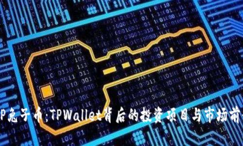 揭秘BP兔子币：TPWallet背后的投资项目与市场前景分析