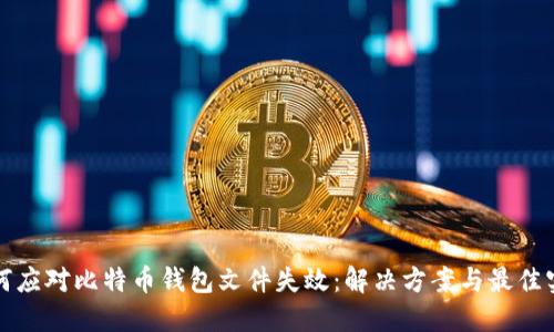 如何应对比特币钱包文件失效：解决方案与最佳实践
