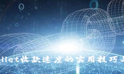 提升TPWallet收款速度的实用技巧与经验分享