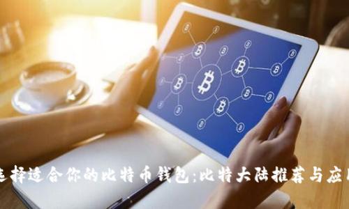 如何选择适合你的比特币钱包：比特大陆推荐与应用分析