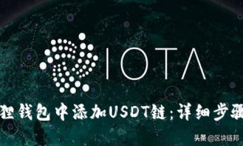 如何在小狐狸钱包中添加USDT链：详细步骤与实用技巧