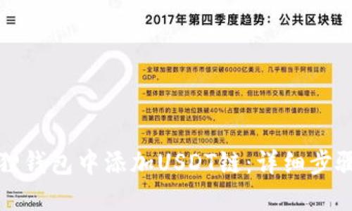 如何在小狐狸钱包中添加USDT链：详细步骤与实用技巧