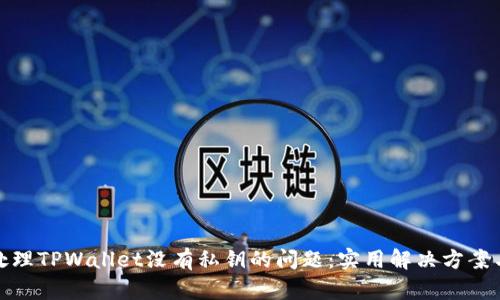 如何处理TPWallet没有私钥的问题：实用解决方案与建议