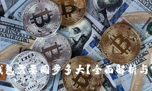 比特币钱包需要同步多大？全面解析与实用建议