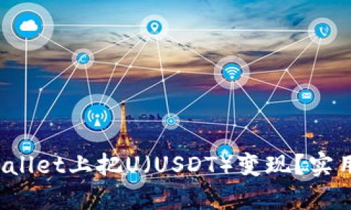 如何在TP Wallet上把U（USDT）变现？实用指南与策略