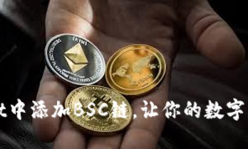 如何在TPWallet中添加BSC链，让你的数字资产管理更高效
