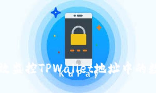 如何高效监控TPWallet地址中的数字资产