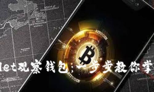 如何使用TPWallet观察钱包：一步步教你掌握数字资产管理