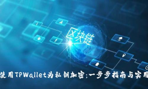 如何使用TPWallet为私钥加密：一步步指南与实用技巧