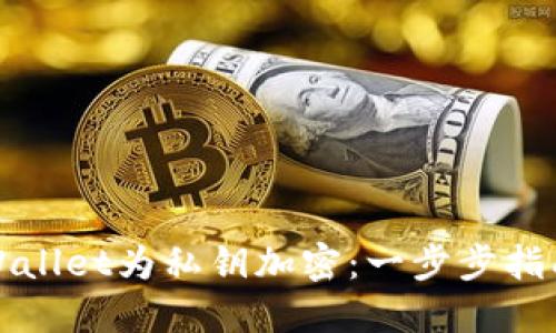 如何使用TPWallet为私钥加密：一步步指南与实用技巧