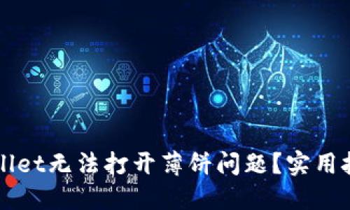 如何解决TPWallet无法打开薄饼问题？实用技巧与解决方案