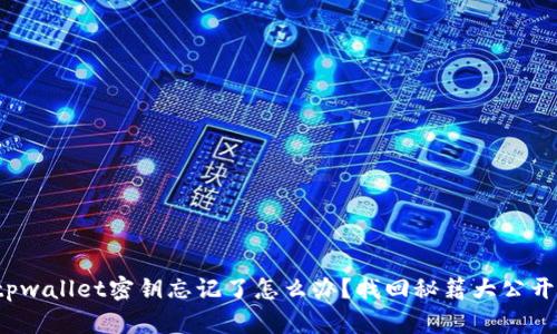 tpwallet密钥忘记了怎么办？找回秘籍大公开！