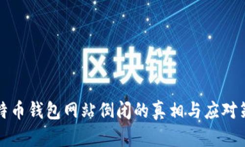 比特币钱包网站倒闭的真相与应对策略