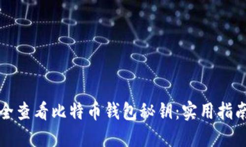 如何安全查看比特币钱包秘钥：实用指南与提示