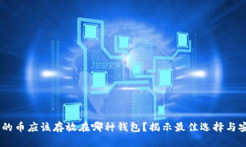 USDT买的币应该存放在哪种钱包？揭示最佳选择与安全建议