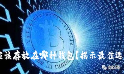 USDT买的币应该存放在哪种钱包？揭示最佳选择与安全建议