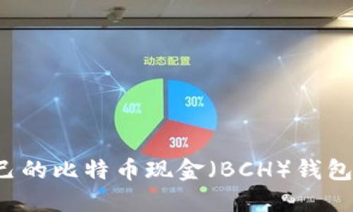 如何选择适合自己的比特币现金（BCH）钱包？实用指南与推荐