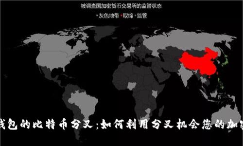 放在钱包的比特币分叉：如何利用分叉机会您的加密资产