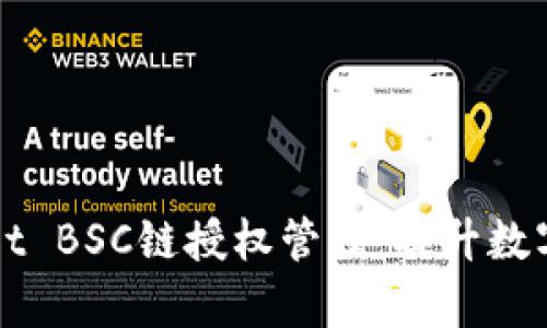 全面掌握TPWallet BSC链授权管理：提升数字资产安全与效率