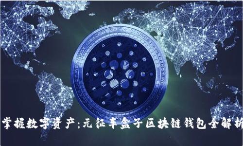 掌握数字资产：元征车盒子区块链钱包全解析
