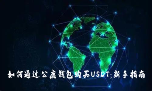 如何通过公鹿钱包购买USDT：新手指南