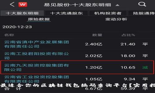 如何选择最适合你的区块链钱包编码查询平台？实用指南与推荐