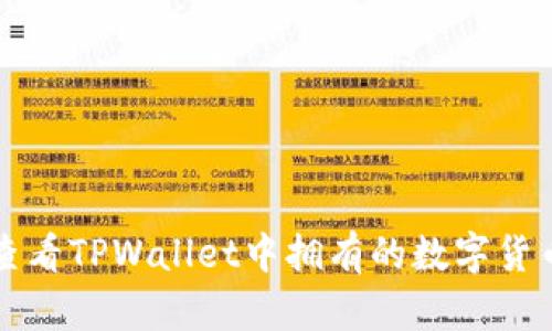 如何查看TPWallet中拥有的数字货币资产