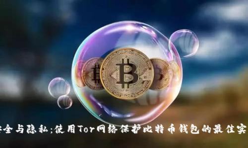 安全与隐私：使用Tor网络保护比特币钱包的最佳实践
