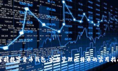 掌握数字货币钱包：安全管理比特币的实用指南