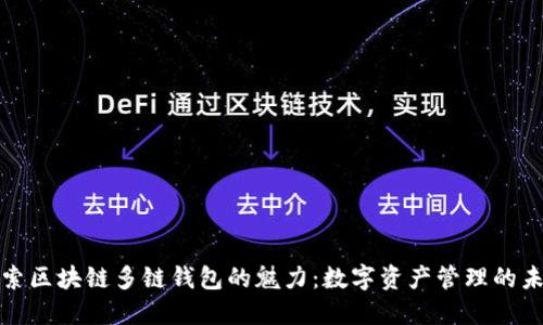 探索区块链多链钱包的魅力：数字资产管理的未来