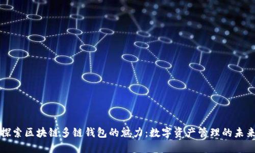 探索区块链多链钱包的魅力：数字资产管理的未来