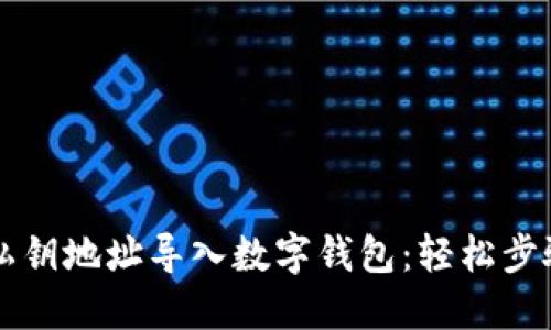 如何通过TP私钥地址导入数字钱包：轻松步骤与实用指南