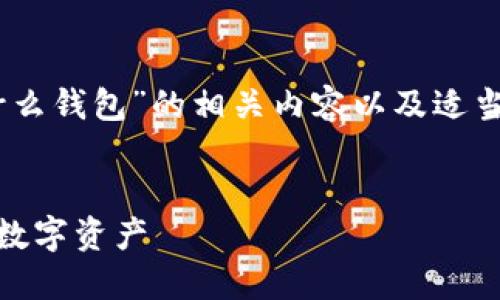 当然可以！以下是针对“USDT能转到什么钱包”的相关内容以及适当的结构，希望能为你提供全面的信息。


USDT转账指南：哪些钱包最适合你的数字资产