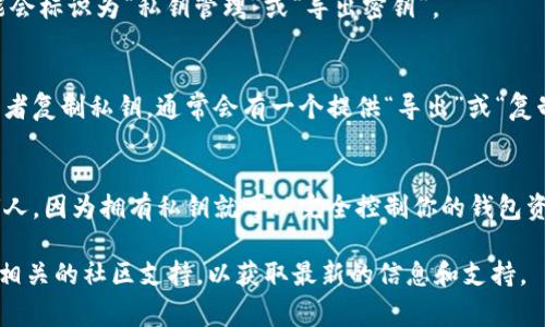 在TPWallet中查看密钥的具体步骤可能会根据应用的版本和更新有所不同，但通常情况下，可以按照以下步骤进行查看：

### 查看TPWallet中的密钥

步骤一：打开TPWallet应用
首先，确保你已经下载并安装了TPWallet应用。打开应用后，你会看到主界面，通常会显示你的资产概览和钱包地址等信息。

步骤二：访问钱包设置
在主界面，通常会有一个菜单或设置选项。找到并点击“设置”或类似的选项，这通常位于右上角或底部菜单中。

步骤三：找到密钥管理选项
在设置中，找到“安全”或“密钥管理”相关的选项。有时，这个部分可能会标识为“私钥管理”或“导出密钥”。

步骤四：查看或导出密钥
在密钥管理部分，你应该能够查看你的公钥和私钥。如果你想导出或者复制私钥，通常会有一个提供“导出”或“复制”功能的按钮。

注意事项
请务必要小心处理你的私钥，保持它的私密性。不要将其分享给任何人，因为拥有私钥就可以完全控制你的钱包资产。如果需要记录，请将其安全地存储在离线环境中，避免泄露风险。

如果你在使用TPWallet的过程中有任何疑问，建议查看官方文档或相关的社区支持，以获取最新的信息和支持。