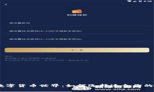 探索安全、便捷的数字货币世界：如何选择适合你的苹果版比特币钱包