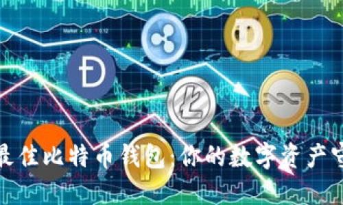 选择最佳比特币钱包：你的数字资产守护者