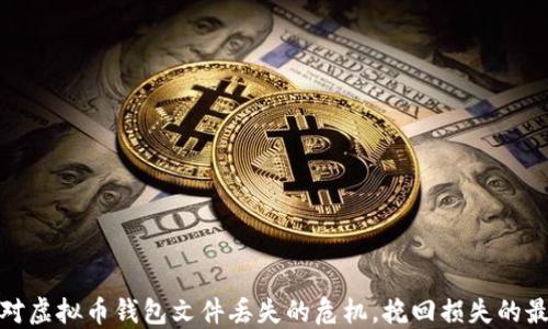 
如何应对虚拟币钱包文件丢失的危机，挽回损失的最佳策略