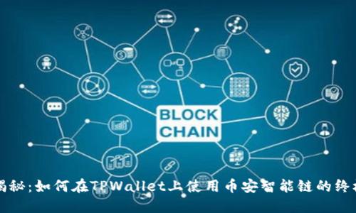 全面揭秘：如何在TPWallet上使用币安智能链的终极指南