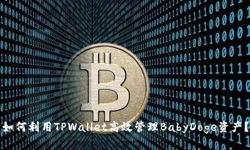 如何利用TPWallet高效管理BabyDoge资产？