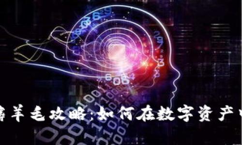 : 区块链钱包薅羊毛攻略：如何在数字资产中找到最优收益