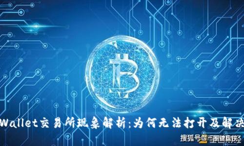 : TPWallet交易所现象解析：为何无法打开及解决方案