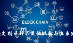 IM钱包：支持币种不足的现状与未来发展展望