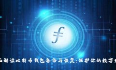 全面解读比特币钱包备份与恢复：保护你的数字