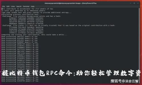 掌握比特币钱包RPC命令：助你轻松管理数字资产