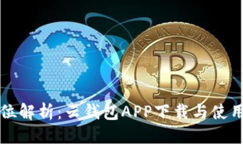 全方位解析：云钱包APP下载与使用指南