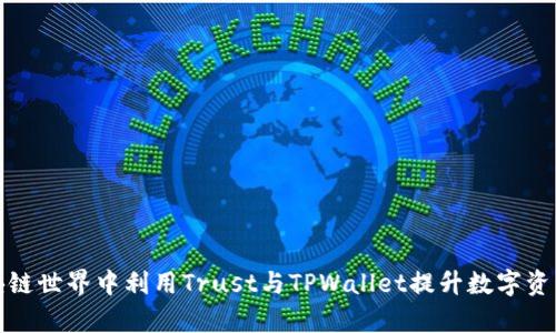 如何在区块链世界中利用Trust与TPWallet提升数字资产管理效率